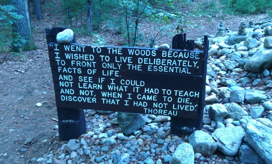 quote from Thoreau: "I went to the woods because I wished to live deliberately"